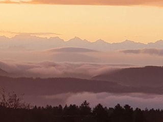 Apartment Görwihl Environment 36