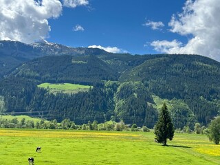 Ferienhaus Mittersill Außenaufnahme 8
