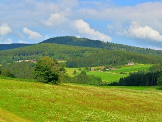 Ferienhaus Drachselsried Außenaufnahme 2