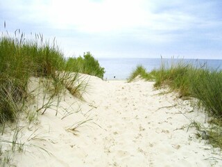 Appartement Trassenheide Omgeving 47