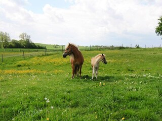 Holiday house Thurow Outdoor Recording 5