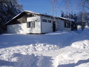 Ferienwohnung in Willingen/Usseln im Sauerland - Willingen - image1