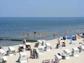 Maison de vacances Neverow Environnement 15