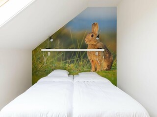 Casa de vacaciones Nes Características 13