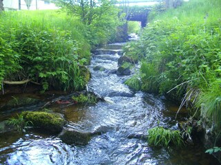 Holiday house St. Georgen Environment 28