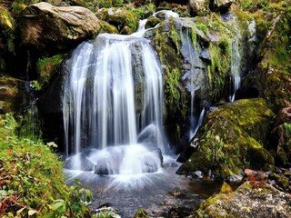 Holiday house St. Georgen im Schwarzwald Environment 29