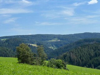 Holiday house St. Georgen im Schwarzwald Environment 30