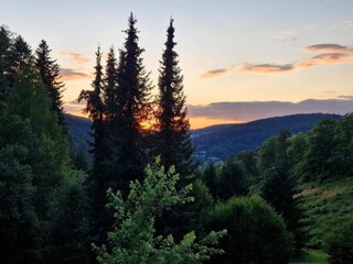 Holiday house St. Georgen im Schwarzwald Environment 31