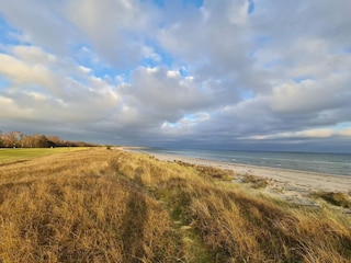 Ferienhaus Vaeggerløse Außenaufnahme 5