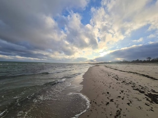 Ferienhaus Vaeggerløse  43
