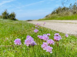 Vakantiehuis Thorup Strand  12