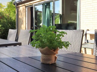 Casa per le vacanze Marielyst  4