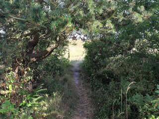 Casa per le vacanze Marielyst  32