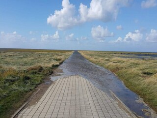 Vakantiehuis Mandø  15