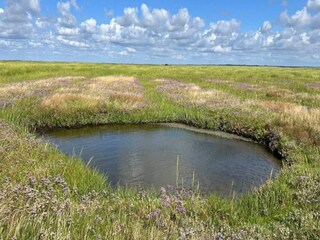 Casa per le vacanze Mandø  22