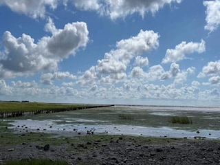 Ferienhaus Mandø  24