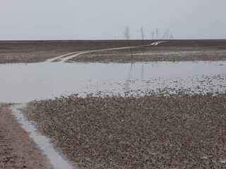 Holiday house Mandø  31