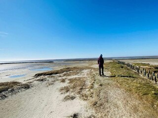 Ferienhaus Mandø  30