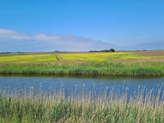 Ferienhaus Mandø  7