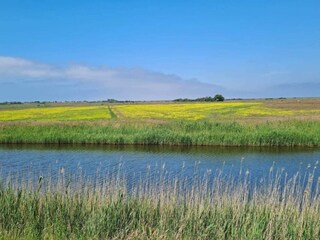 Vakantiehuis Mandø  11