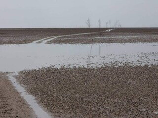 Holiday house Mandø  5