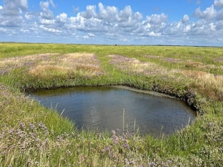 Maison de vacances Mandø  36