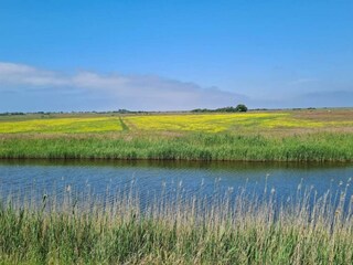 Casa de vacaciones Mandø  6