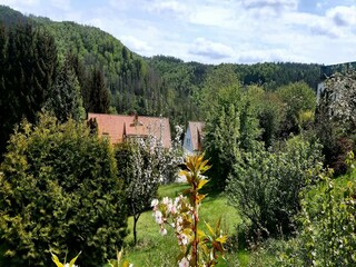 Ferienhaus Wieda Umgebung 28