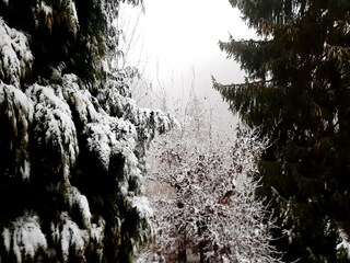 Casa de vacaciones Wieda Entorno 33