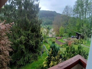 Ferienhaus Wieda Außenaufnahme 5