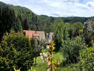Ferienhaus Wieda Umgebung 33