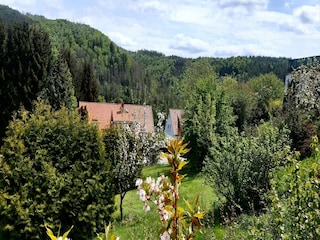 Ferienhaus Wieda Umgebung 35