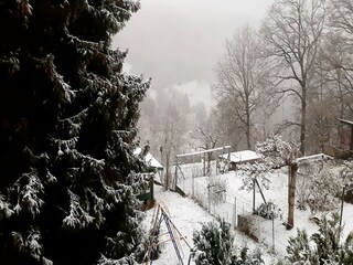 Maison de vacances Wieda Environnement 36