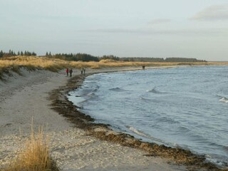 Vakantiehuis Hals  10