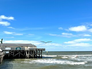 Maison de vacances Hedwigenkoog Environnement 29