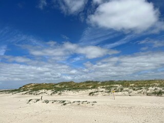 Vakantiehuis Hedwigenkoog Omgeving 28