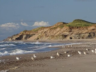 Ferienhaus Agger  16