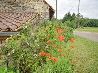 Landhaus Dégagnac Außenaufnahme 8