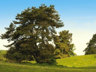 Vakantiehuis Lohmen in Mecklenburg  44