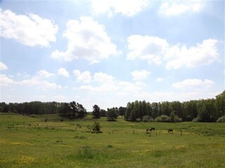 Vakantiehuis Lohmen in Mecklenburg  20