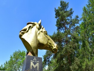 Ferienhaus Lohmen in Mecklenburg Umgebung 38