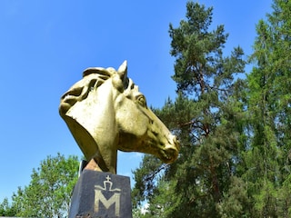 Ferienhaus Lohmen in Mecklenburg Umgebung 40