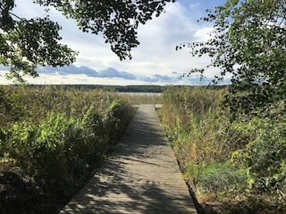 Holiday house Userin Environment 25