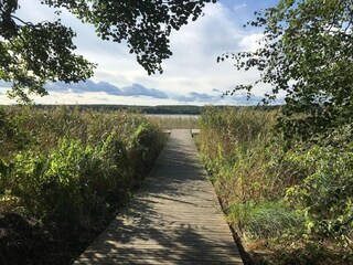 Vakantiehuis Userin Omgeving 28