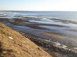 Maison de vacances Ejsingholm  21