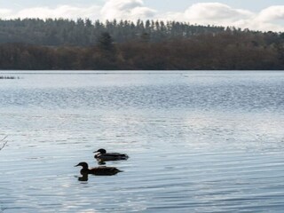 Casa de vacaciones Kolind  37