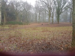 Casa de vacaciones Kolind  7