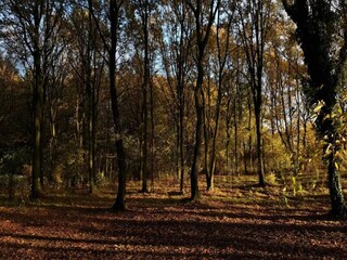 Casa de vacaciones Kolind  16