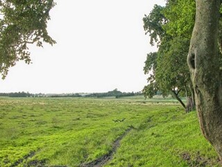 Vakantiehuis Kolind  8