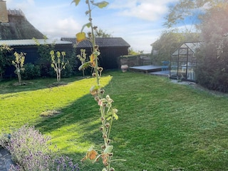 Ferienhaus Südwestseeland Außenaufnahme 4